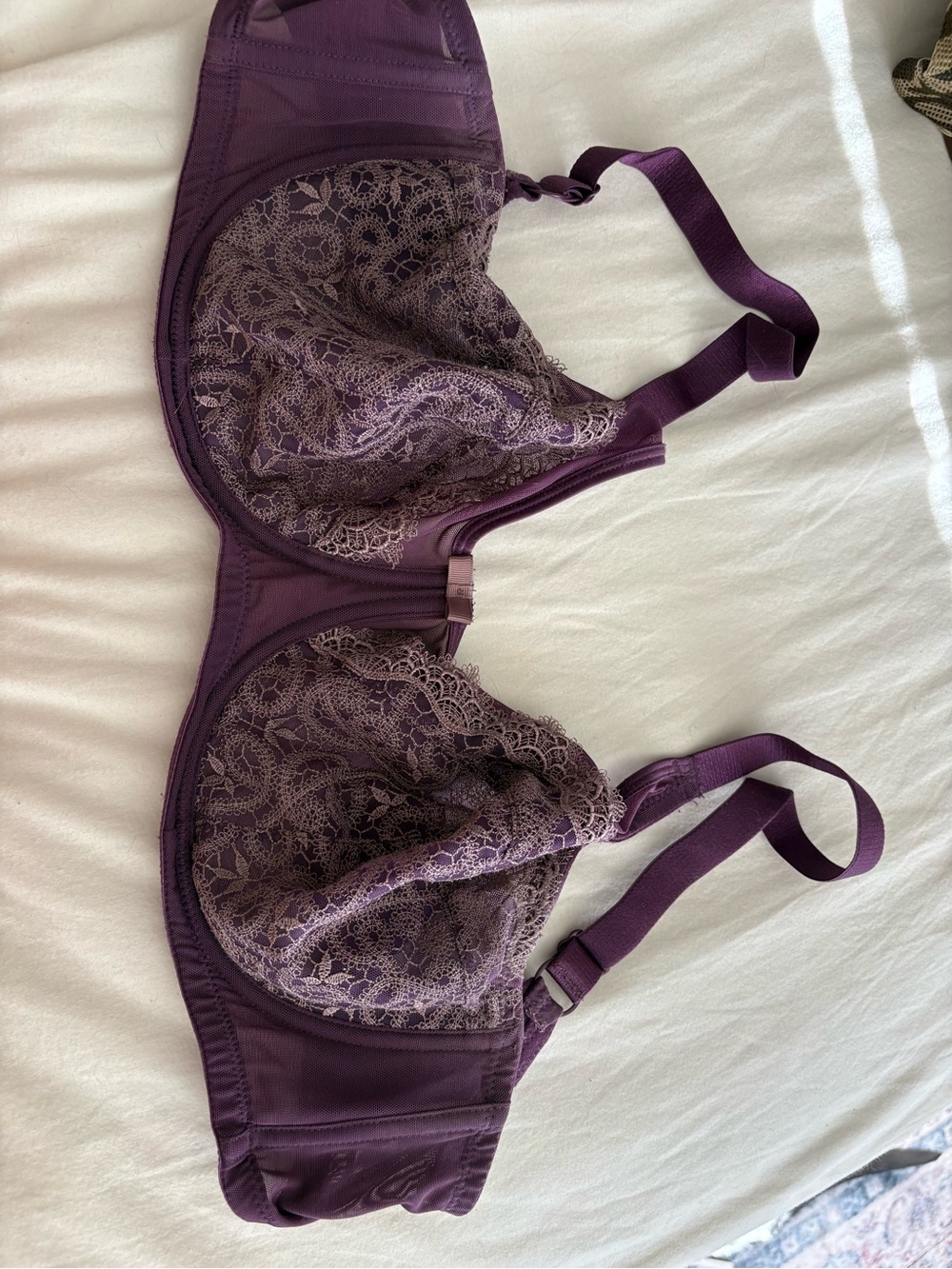 Lace Underwire Bra in Plum with Sheer Lace Cups
